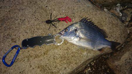 仕事帰りチニング